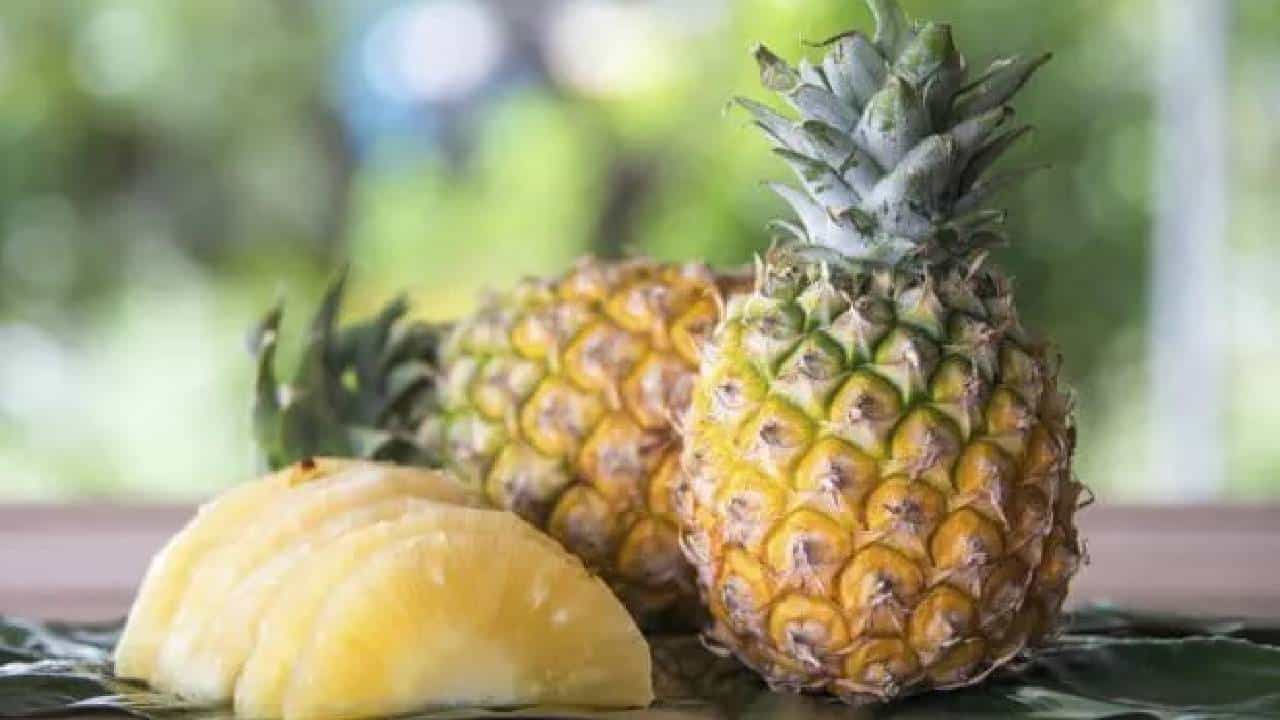 ಮಧುಮೇಹಿಗಳು ಅನಾನಸ್ ತಿನ್ನಬಹುದೇ? ರಕ್ತದಲ್ಲಿನ ಸಕ್ಕರೆಯ ಮಟ್ಟಗಳ ಮೇಲೆ ಅನಾನಸಿನ ಪ್ರಭಾವ ಮಧುಮೇಹಿಗಳು ಅನಾನಸ್ ತಿನ್ನಬಹುದೇ? ರಕ್ತದಲ್ಲಿನ ಸಕ್ಕರೆಯ ಮಟ್ಟಗಳ ಮೇಲೆ ಅನಾನಸಿನ ಪ್ರಭಾವ
