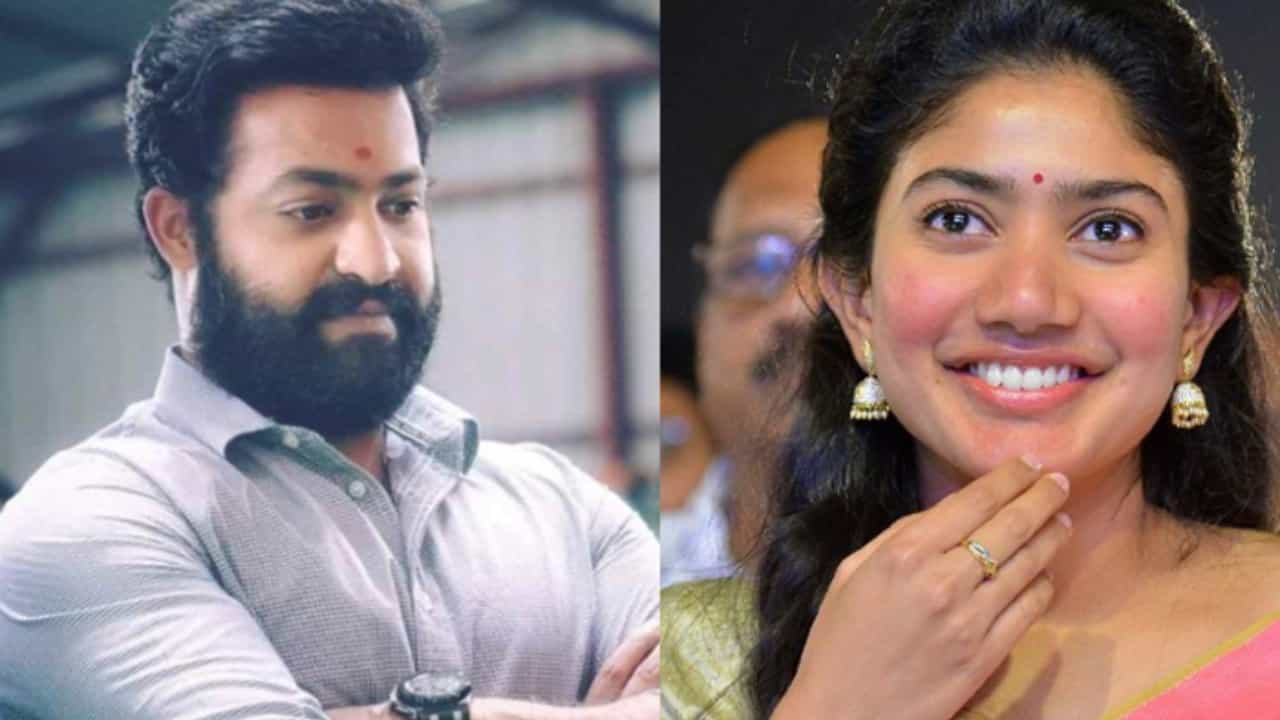 ಜೂ ಎನ್ಟಿಆರ್ ಸಿನಿಮಾದಲ್ಲಿ ಸಾಯಿ ಪಲ್ಲವಿ? ಚಿತ್ರತಂಡ ಹೇಳಿದ್ದೇನು? ಜೂ ಎನ್ಟಿಆರ್ ಸಿನಿಮಾದಲ್ಲಿ ಸಾಯಿ ಪಲ್ಲವಿ? ಚಿತ್ರತಂಡ ಹೇಳಿದ್ದೇನು?