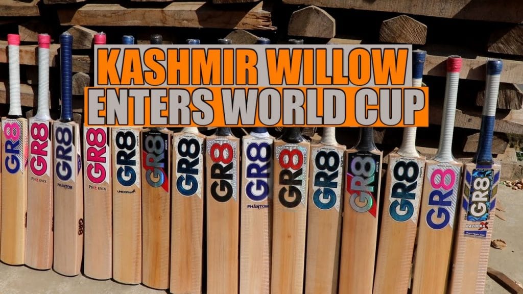 ODI World Cup 2023 Kashmir willow bat to boom in Cricket World Cup 2023