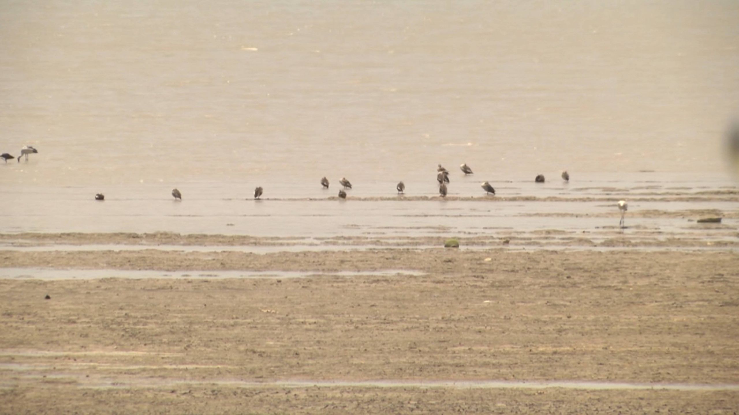 No Water in Kudalasangama triveni sangam krishna malaprabha ghataprabha river bagalakote