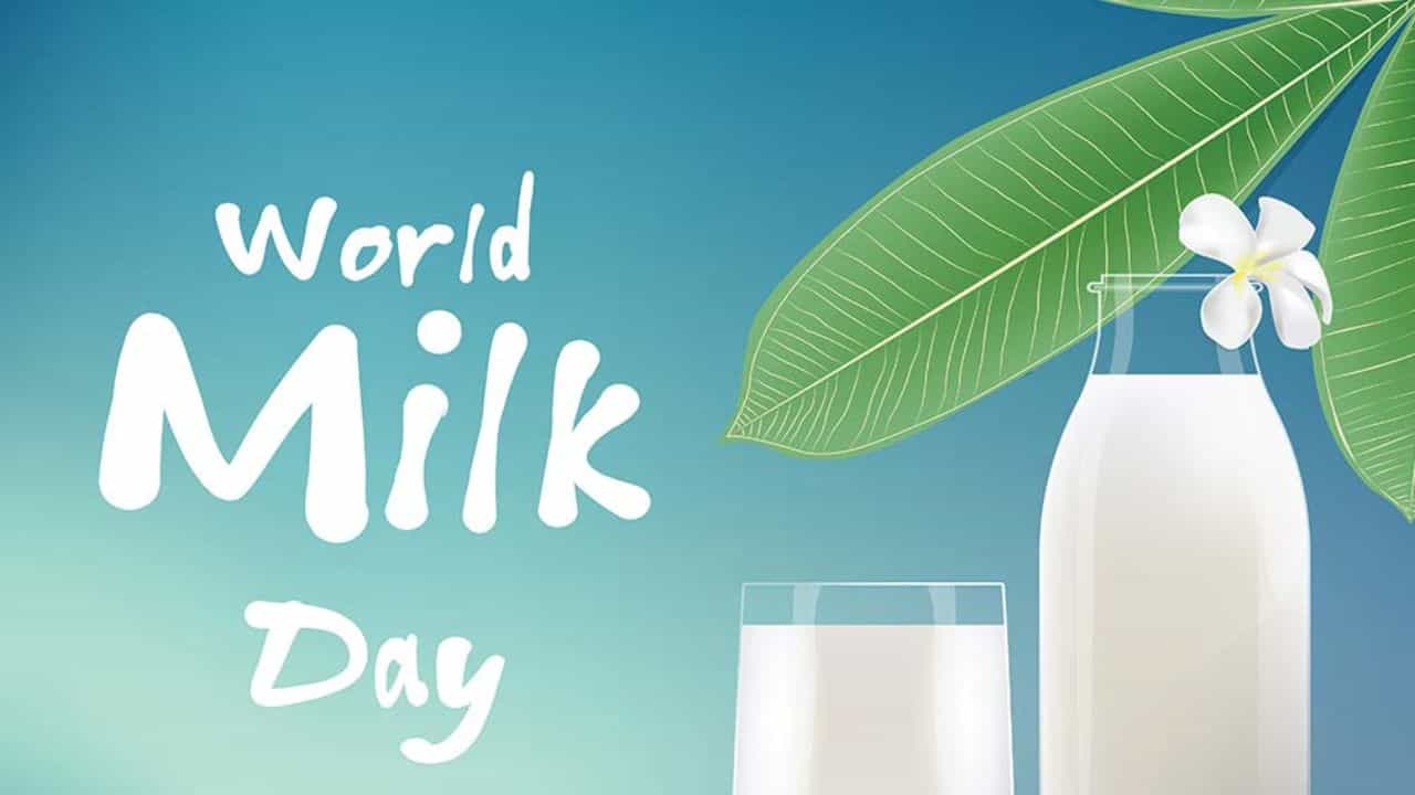 World Milk Day 2023: ಹಾಲಿನಿಂದ 5 ಭಾರತೀಯ ಭಕ್ಷ್ಯಗಳನ್ನು ತಯಾರಿಸಬಹುದು? ಇಲ್ಲಿದೆ ಮಾಹಿತಿ World Milk Day 2023: ಹಾಲಿನಿಂದ 5 ಭಾರತೀಯ ಭಕ್ಷ್ಯಗಳನ್ನು ತಯಾರಿಸಬಹುದು? ಇಲ್ಲಿದೆ ಮಾಹಿತಿ