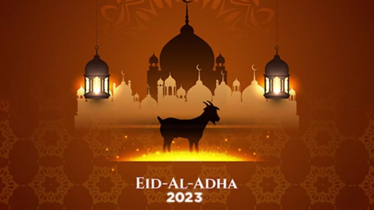 Bakr Eid 2023: ಈದ್-ಉಲ್-ಫಿತರ್, ಈದ್-ಉಲ್-ಅಧಾ ನಡುವಿನ ವ್ಯತ್ಯಾಸಗಳೇನು? ಇಲ್ಲಿದೆ ಮಹತ್ವ, ಆಚರಣೆಯ ಸಮಯ Bakr Eid 2023: ಈದ್-ಉಲ್-ಫಿತರ್, ಈದ್-ಉಲ್-ಅಧಾ ನಡುವಿನ ವ್ಯತ್ಯಾಸಗಳೇನು? ಇಲ್ಲಿದೆ ಮಹತ್ವ, ಆಚರಣೆಯ ಸಮಯ