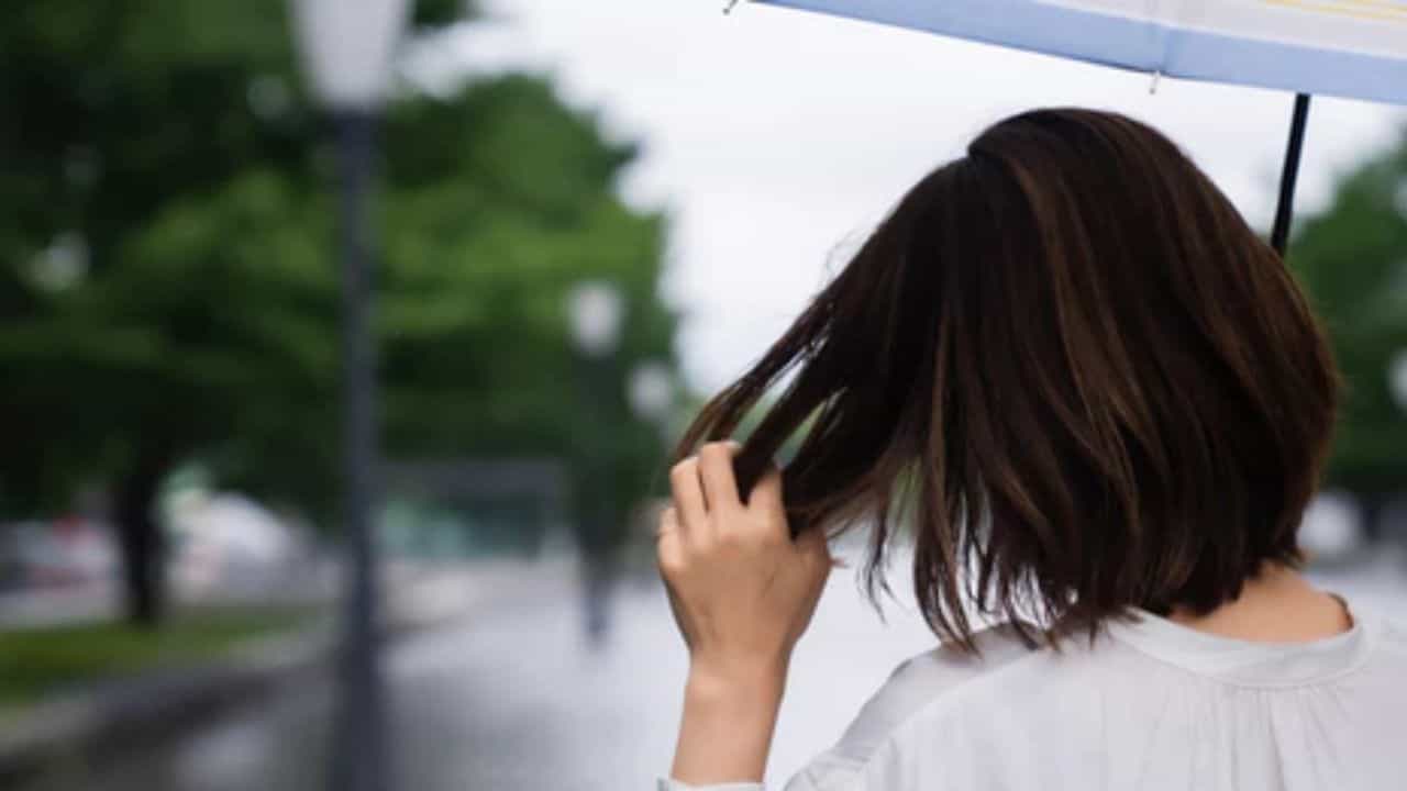 Monsoon 2023: ಮಳೆಗಾಲದಲ್ಲಿ ಕೂದಲು ಉದುರುವಿಕೆಯನ್ನು ತಡೆಯುವುದು ಹೇಗೆ? ಇಲ್ಲಿದೆ ತಜ್ಞರ ಸಲಹೆ Monsoon 2023: ಮಳೆಗಾಲದಲ್ಲಿ ಕೂದಲು ಉದುರುವಿಕೆಯನ್ನು ತಡೆಯುವುದು ಹೇಗೆ? ಇಲ್ಲಿದೆ ತಜ್ಞರ ಸಲಹೆ
