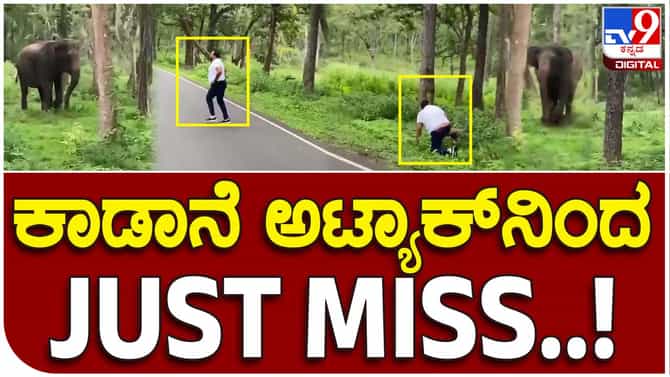 Providential escape: ಕಾಡಾನೆಯಿಂದ ಬಚಾವಾಗಲು ವ್ಯಕ್ತಿಯೊಬ್ಬ ಜೀವ ಮತ್ತು ಪ್ಯಾಂಟ್ ಎರಡನ್ನೂ ಕೈಯಲ್ಲಿ ಹಿಡಿದು ಓಡಿದ!