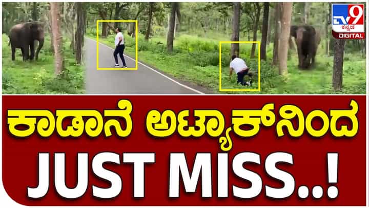 Providential escape: ಕಾಡಾನೆಯಿಂದ ಬಚಾವಾಗಲು ವ್ಯಕ್ತಿಯೊಬ್ಬ ಜೀವ ಮತ್ತು ಪ್ಯಾಂಟ್ ಎರಡನ್ನೂ ಕೈಯಲ್ಲಿ ಹಿಡಿದು ಓಡಿದ! Providential escape: ಕಾಡಾನೆಯಿಂದ ಬಚಾವಾಗಲು ವ್ಯಕ್ತಿಯೊಬ್ಬ ಜೀವ ಮತ್ತು ಪ್ಯಾಂಟ್ ಎರಡನ್ನೂ ಕೈಯಲ್ಲಿ ಹಿಡಿದು ಓಡಿದ!