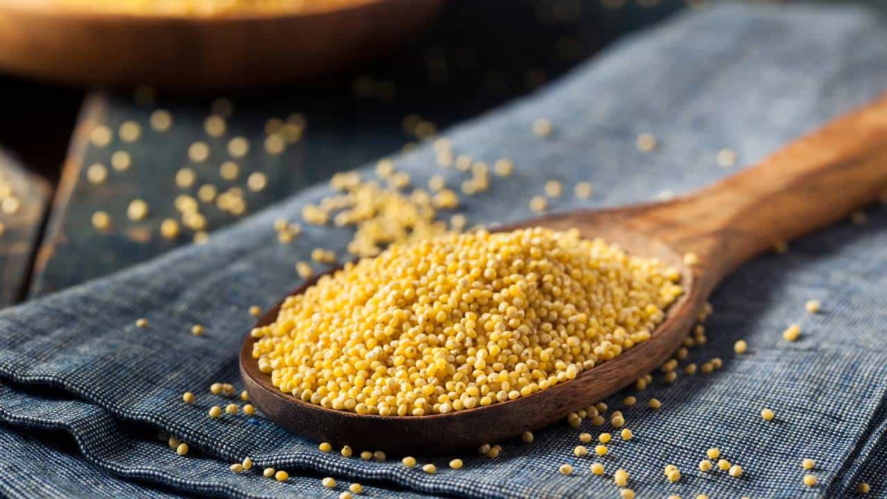 ಸಿರಿಧಾನ್ಯಗಳಿಂದ ಅಡುಗೆ: ರುಚಿಕರ ಮತ್ತು ಪೌಷ್ಟಿಕ ಭಕ್ಷ್ಯಗಳನ್ನು ತಯಾರಿಸಲು ಅಗತ್ಯ ಸಲಹೆಗಳು ಸಿರಿಧಾನ್ಯಗಳಿಂದ ಅಡುಗೆ: ರುಚಿಕರ ಮತ್ತು ಪೌಷ್ಟಿಕ ಭಕ್ಷ್ಯಗಳನ್ನು ತಯಾರಿಸಲು ಅಗತ್ಯ ಸಲಹೆಗಳು