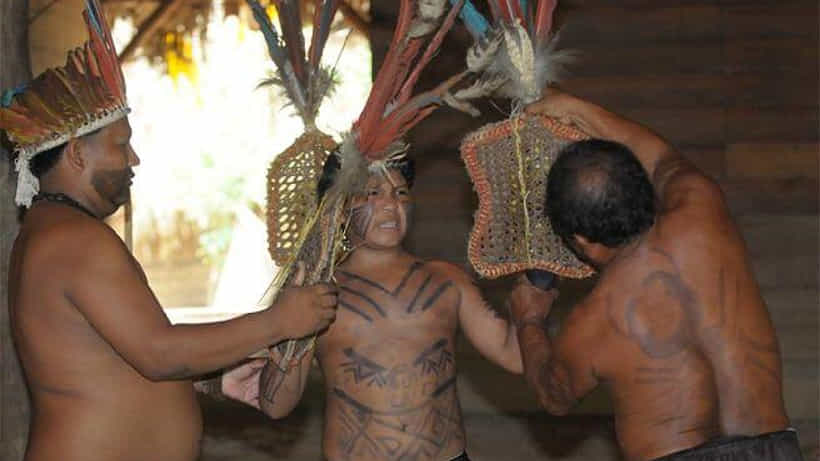Mawe Tribe: ಗಂಡಸರು ಈ ವಿಶೇಷ ಪರೀಕ್ಷೆಯಲ್ಲಿ ಪಾಸಾದರೆ ಮಾತ್ರ ಮದುವೆ !; ಫೇಲಾದರೆ ಮದುವೇ ಇಲ್ಲ?