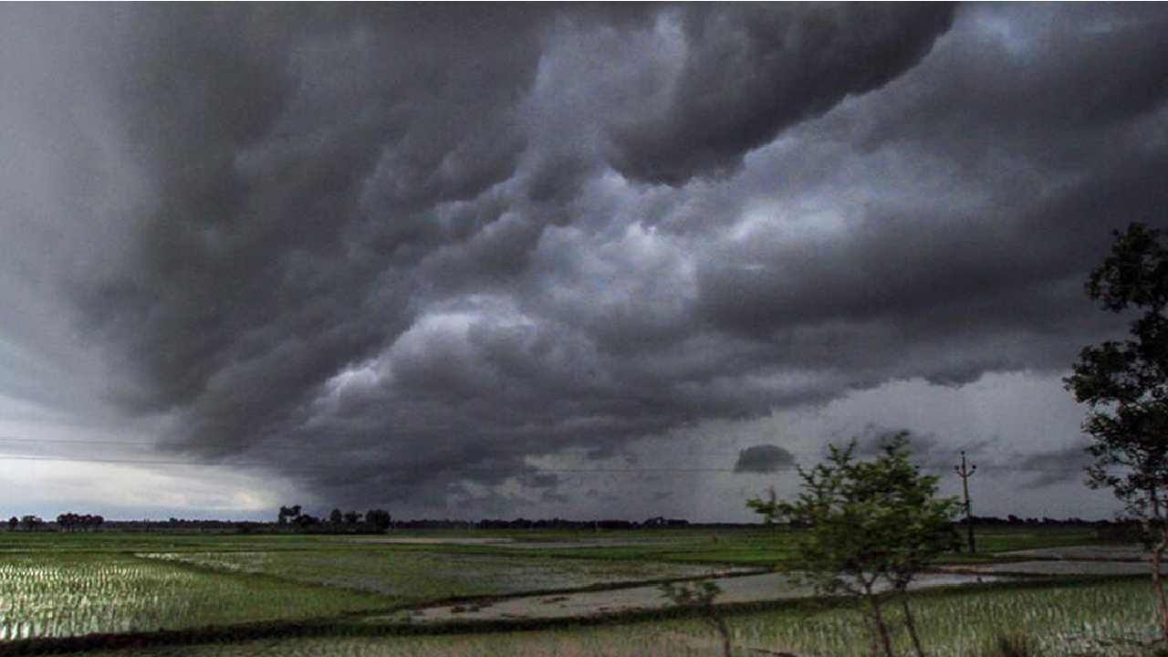 Monsoon 2023: ಕೇರಳಕ್ಕೆ ಮುಂಗಾರು ಆಗಮನ, ಮಳೆಯ ಅಬ್ಬರ ಶುರು, 48 ಗಂಟೆಗಳಲ್ಲಿ ಕರ್ನಾಟಕದಲ್ಲೂ ಮಳೆ