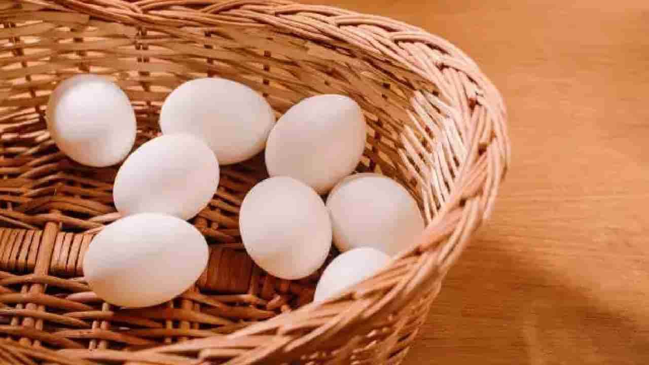 National Egg Day: ನೀವು ಪ್ರತಿದಿನ ಮೊಟ್ಟೆಗಳನ್ನು ತಿಂದರೆ ನಿಮ್ಮ ದೇಹಕ್ಕೆ ಏನಾಗುತ್ತದೆ?