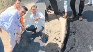 ಬತ್ನಾಹಾ-ನೇಪಾಳ ರೈಲಿಗೆ ಜಂಟಿಯಾಗಿ ಚಾಲನೆ ನೀಡಿದ ಪ್ರಧಾನಿ ಮೋದಿ, ನೇಪಾಳದ ಪಿಎಂ ಪುಷ್ಪ ಕಮಲ್ ದಹಲ್​​ ಪ್ರಚಂಡ