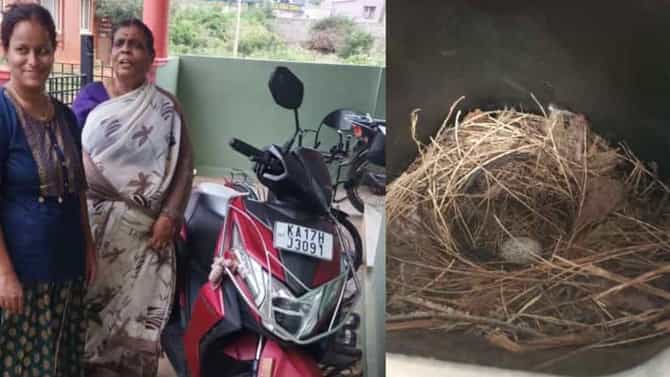 ಮನೆ-ಮರಗಳಲ್ಲಿ ಹಕ್ಕಿಗಳು ಗೂಡು ಕಟ್ಟತ್ತವೆ, ಸ್ಕೂಟಿಯಲ್ಲಿ ಪಕ್ಷಿ ಗೂಡು ಕಟ್ಟಿರುವುದು ನೋಡಿ