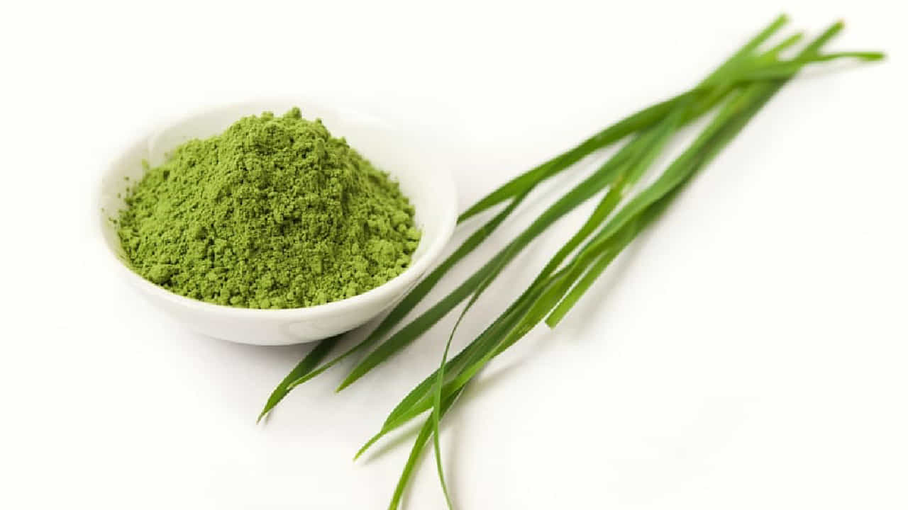 Barley Grass: ಬಾರ್ಲಿ ಹುಲ್ಲಿನ ಆರೋಗ್ಯ ಪ್ರಯೋಜನಗಳನ್ನು ತಿಳಿದುಕೊಳ್ಳಿ