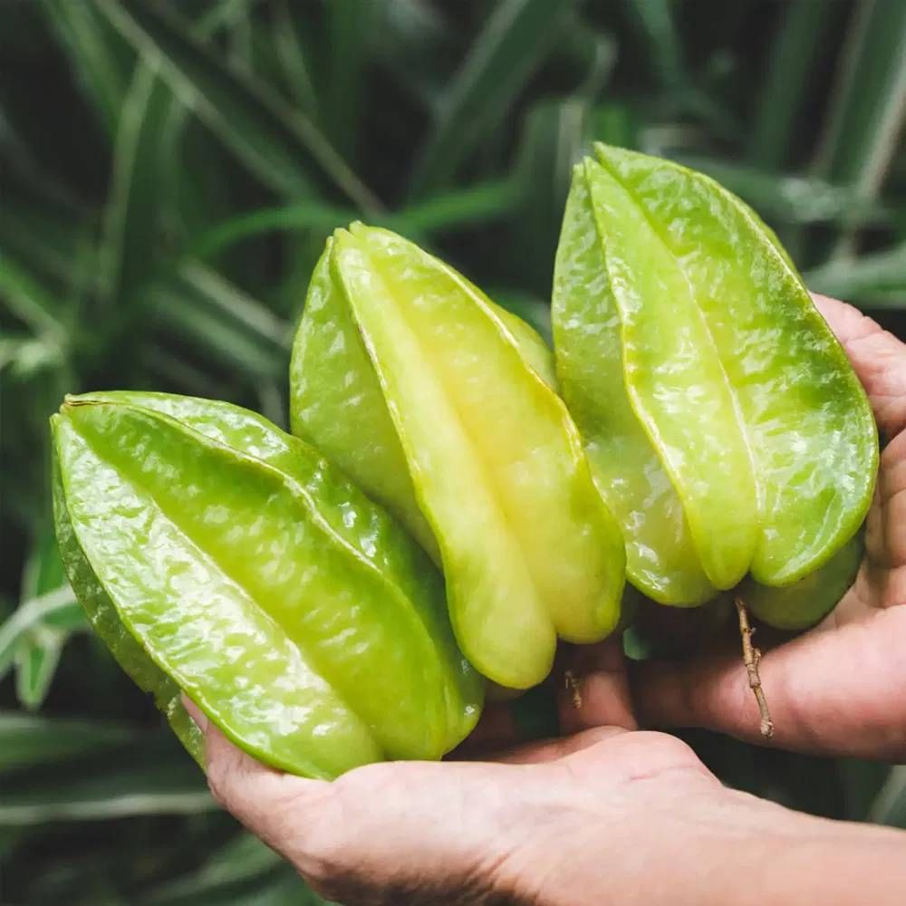 Star Fruit  Health Benefits:  ಸ್ಟಾರ್ ಫ್ರೂಟ್ ತಿನ್ನುವುದರಿಂದ ಎಷ್ಟೋ ಪ್ರಯೋಜನಗಳಿವೆ