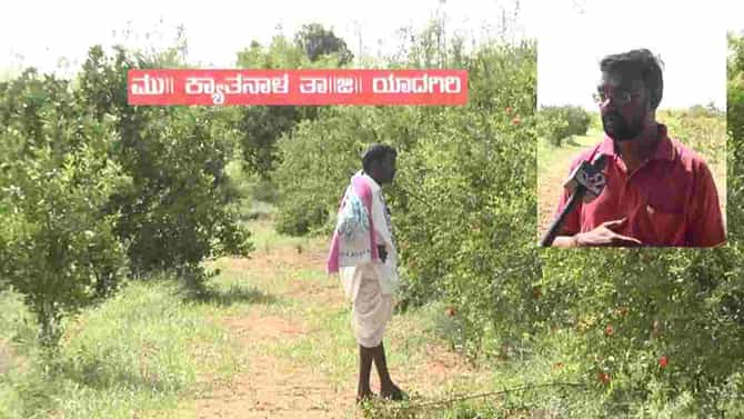ಸಿಟಿಯಲ್ಲಿ ಮೆಡಿಕಲ್ ಸ್ಟೋರ್ ವೃತ್ತಿಯಿಂದ ಬೇಸರವಾಗಿ ಹಳ್ಳಿಯತ್ತ ಹೆಜ್ಜೆ ಹಾಕಿದ ಯುವಕ, ಇಂದು ಕೃಷಿ ಮಾಡಿ ಖುಷಿಯಾಗಿದ್ದಾನೆ!