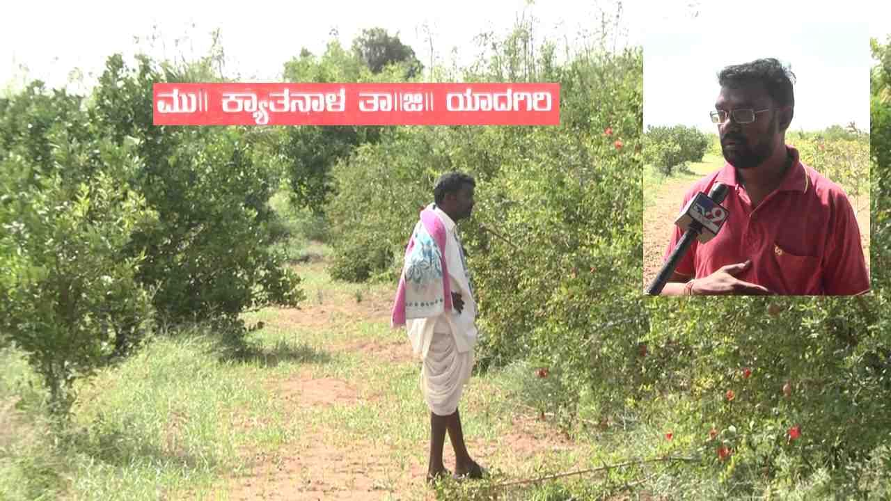 ಒಟ್ನಲ್ಲಿ ಹಳ್ಳಿ ಲೈಫ್ ಗೆ ಗುಡ್ ಬೈ ಹೇಳಿ ಸಿಟಿಯಲ್ಲಿ ಆರಾಮಾಗಿ ಸೆಟ್ಲ್ ಆಗುವ ಈ ಕಾಲದಲ್ಲಿ ರೈತ ಬಸವರಾಜ್ ಮಾತ್ರ ಹಳ್ಳಿಯ ಬದುಕೆ ಬೆಸ್ಟ್ ಎನ್ನುತ್ತಾರೆ. ಕೃಷಿಯಲ್ಲಿ ಏನಿಲ್ಲ ಬರಿ ನಷ್ಟ ಅಂತ ಸಿಟಿ ಸೇರುವವರಿಗೆ ಈ ರೈತ ಮಾದರಿಯಾಗಿದ್ದಾರೆ ಅಂದ್ರೆ ತಪ್ಪಾಗಲಾರದು. 