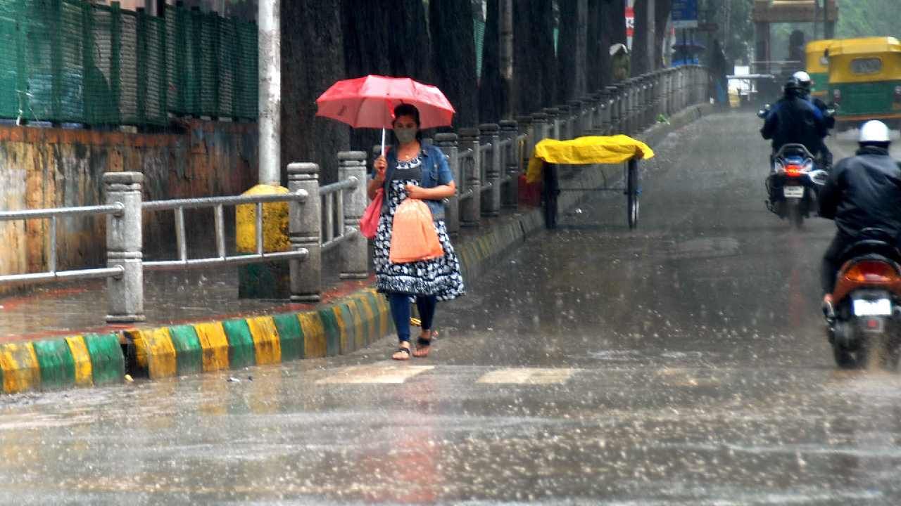 Monsoon 2023: ಕರ್ನಾಟಕದಲ್ಲಿ ಚುರುಕುಗೊಂಡ ಮುಂಗಾರು, ಮುಂದಿನ 48 ಗಂಟೆಗಳಲ್ಲಿ ಈ ಜಿಲ್ಲೆಗಳಲ್ಲಿ ಧಾರಾಕಾರ ಮಳೆ ಸಾಧ್ಯತೆ