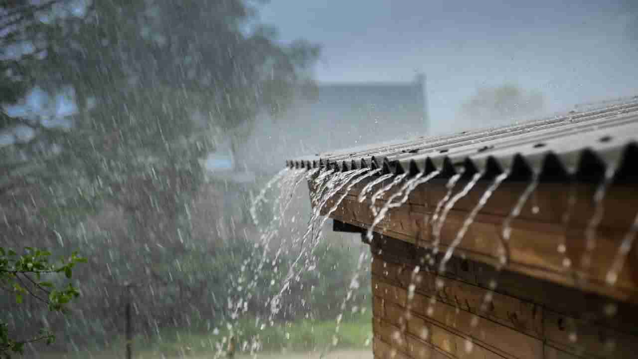 Karnataka Rains: ರಾಜ್ಯಾದ್ಯಂತ ಮುಂಗಾರು ದುರ್ಬಲ, ಜುಲೈ 2ರವರೆಗೂ ದಕ್ಷಿಣ ಕನ್ನಡ, ಉತ್ತರ ಕನ್ನಡ ಜಿಲ್ಲೆಯಾದ್ಯಂತ ಮಳೆ ಸಾಧ್ಯತೆ, ಯೆಲ್ಲೋ ಅಲರ್ಟ್​