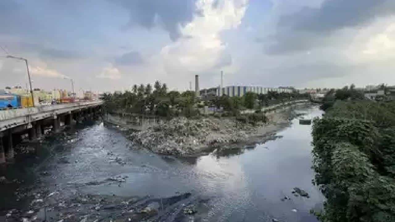 Bengaluru News: ಚುರುಕುಗೊಂಡ ರಾಜಕಾಲುವೆ ಒತ್ತುವರಿ ತೆರವು ಕಾರ್ಯ: ಅಧಿಕಾರಿಗಳಿಗೆ ಗಡುವು ನೀಡಿದ ಬಿಬಿಎಂಪಿ ಆಯುಕ್ತ Bengaluru News: ಚುರುಕುಗೊಂಡ ರಾಜಕಾಲುವೆ ಒತ್ತುವರಿ ತೆರವು ಕಾರ್ಯ: ಅಧಿಕಾರಿಗಳಿಗೆ ಗಡುವು ನೀಡಿದ ಬಿಬಿಎಂಪಿ ಆಯುಕ್ತ