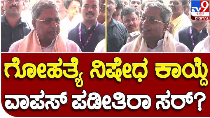 Anti-cow slaughter act; ಗೋಹತ್ಯೆ ನಿಷೇಧ ಕಾಯ್ದೆಯನ್ನು ವಾಪಸ್ಸು ಪಡೆಯುವ ತೀರ್ಮಾನ ತೆಗೆದುಕೊಂಡಿಲ್ಲ, ಸಂಪುಟ ಸಭೆಯಲ್ಲಿ ಚರ್ಚಿಸಲಿದ್ದೇವೆ: ಸಿದ್ದರಾಮಯ್ಯ Anti-cow slaughter act; ಗೋಹತ್ಯೆ ನಿಷೇಧ ಕಾಯ್ದೆಯನ್ನು ವಾಪಸ್ಸು ಪಡೆಯುವ ತೀರ್ಮಾನ ತೆಗೆದುಕೊಂಡಿಲ್ಲ, ಸಂಪುಟ ಸಭೆಯಲ್ಲಿ ಚರ್ಚಿಸಲಿದ್ದೇವೆ: ಸಿದ್ದರಾಮಯ್ಯ