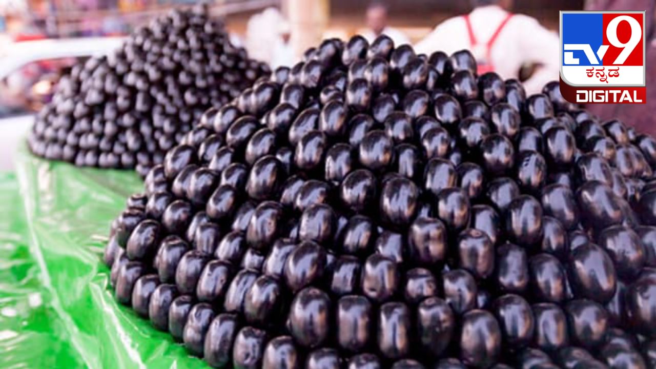 Benefits of Jamun: ಬೇಸಿಗೆಯಲ್ಲಿ ನೇರಳೆ ಹಣ್ಣು ಏಕೆ ತಿನ್ನಬೇಕು?