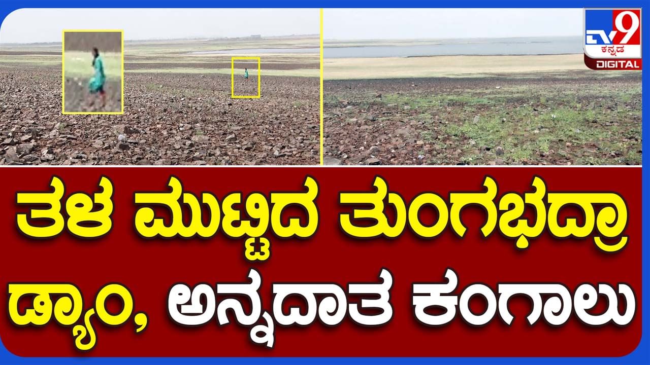 Reservoir dries up: ತುಂಗಭದ್ರಾ ಜಲಾಶಯದಲ್ಲಿ ನೀರು ತಳ ಕಂಡಿದೆ, ಬಳಕೆಗೆ ಕೇವಲ 2 ಟಿಎಮ್​ಸಿ ಮಾತ್ರ ಲಭ್ಯ