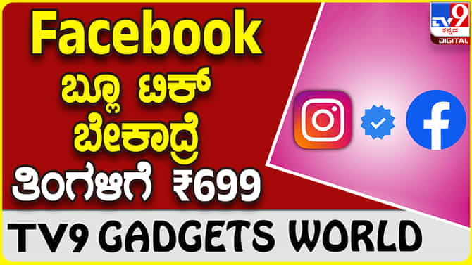 Facebook Blue Tick: ಫೇಸ್​ಬುಕ್ ಮತ್ತು ಇನ್​ಸ್ಟಾಗ್ರಾಂನಲ್ಲಿ ಬ್ಲೂಟಿಕ್ ಬೇಕಾದ್ರೆ ದುಡ್ಡು ಕೊಡ್ಬೇಕು!