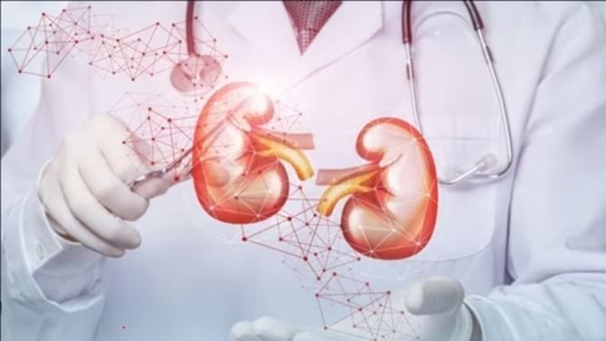 Common Kidney Disorders: ಸಾಮಾನ್ಯವಾಗಿ ಕಾಣಿಸಿಕೊಳ್ಳುವ ಮೂತ್ರಪಿಂಡದ ಸಮಸ್ಯೆಗೆ ಕಾರಣ, ಲಕ್ಷಣ, ಚಿಕಿತ್ಸೆ ಇಲ್ಲಿದೆ Common Kidney Disorders: ಸಾಮಾನ್ಯವಾಗಿ ಕಾಣಿಸಿಕೊಳ್ಳುವ ಮೂತ್ರಪಿಂಡದ ಸಮಸ್ಯೆಗೆ ಕಾರಣ, ಲಕ್ಷಣ, ಚಿಕಿತ್ಸೆ ಇಲ್ಲಿದೆ