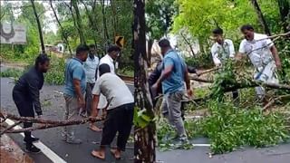 ಧಾರವಾಡದಲ್ಲಿ ಮೂರು ಕಾಲಿನ ಕರು ಜನನ