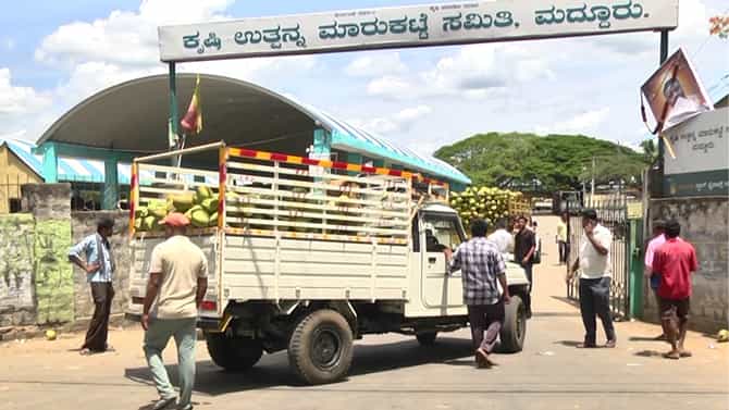 ಉತ್ತರ ಭಾರತದಲ್ಲಿ ಏರಿದ ತಾಪಮಾನ: ಮಂಡ್ಯ, ಮದ್ದೂರು ಎಳನೀರಿಗೆ ಹಾಟ್​ ಡಿಮ್ಯಾಂಡ್!