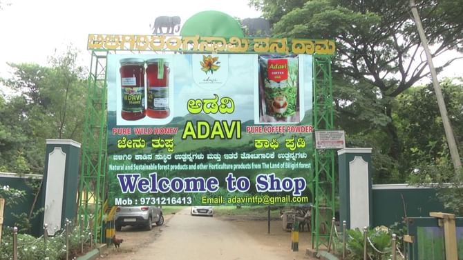 BR Hills Bitter Honey: ಸಿಹಿ ಜೇನು ಅಷ್ಟೇ ಅಲ್ಲ; ಗಡಿ ಜಿಲ್ಲೆಯ ಆ ದಟ್ಟ ‘ಅಡವಿ’ಯಲ್ಲಿ ಕಹಿ ಜೇನು ಕೂಡ ಇದೆ, ರುಚಿ ನೋಡಿ ಕಹಿ ಜೇನು ಸಂಗ್ರಹಿಸುತ್ತಾರೆ! BR Hills Bitter Honey: ಸಿಹಿ ಜೇನು ಅಷ್ಟೇ ಅಲ್ಲ; ಗಡಿ ಜಿಲ್ಲೆಯ ಆ ದಟ್ಟ ‘ಅಡವಿ’ಯಲ್ಲಿ ಕಹಿ ಜೇನು ಕೂಡ ಇದೆ, ರುಚಿ ನೋಡಿ ಕಹಿ ಜೇನು ಸಂಗ್ರಹಿಸುತ್ತಾರೆ!