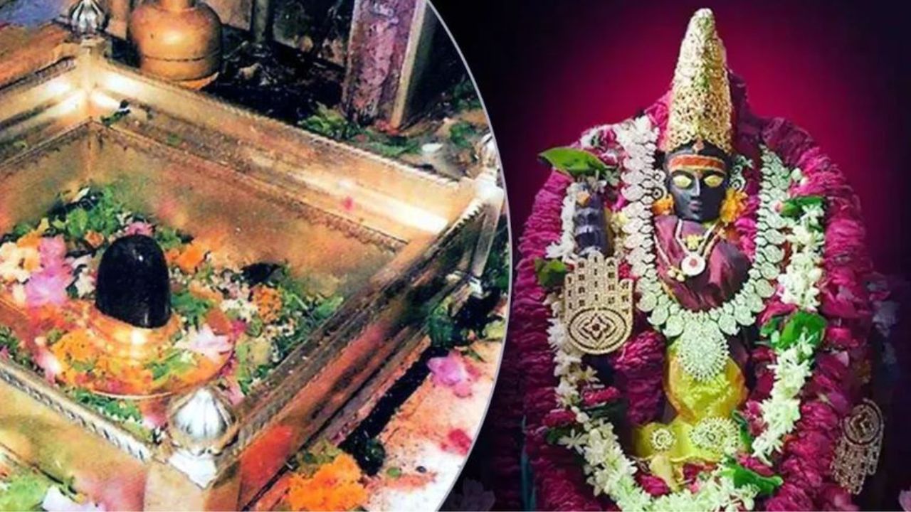 ಕಾಶಿ ವಿಶ್ವನಾಥನ ನಗರದಲ್ಲಿ ಮಹಾ ಶಿವನಿಗಷ್ಟೇ ಅಲ್ಲ, ವಿಶಾಲಾಕ್ಷಿ ಪೂಜೆಗೂ ಮಹಾ ಪ್ರಾಮುಖ್ಯತೆ ಇದೆ! ಯಾಕೆ ಗೊತ್ತಾ? ಕಾಶಿ ವಿಶ್ವನಾಥನ ನಗರದಲ್ಲಿ ಮಹಾ ಶಿವನಿಗಷ್ಟೇ ಅಲ್ಲ, ವಿಶಾಲಾಕ್ಷಿ ಪೂಜೆಗೂ ಮಹಾ ಪ್ರಾಮುಖ್ಯತೆ ಇದೆ! ಯಾಕೆ ಗೊತ್ತಾ?