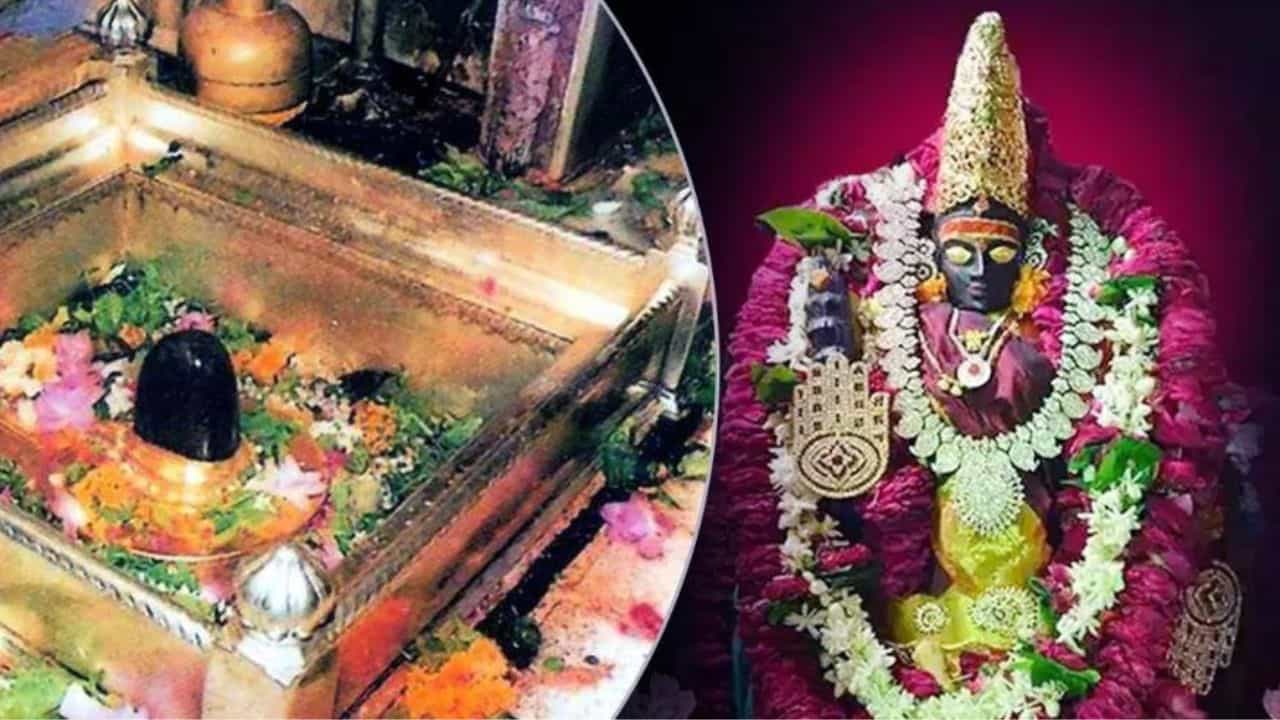 ಕಾಶಿ ವಿಶ್ವನಾಥನ ನಗರದಲ್ಲಿ ಮಹಾ ಶಿವನಿಗಷ್ಟೇ ಅಲ್ಲ, ವಿಶಾಲಾಕ್ಷಿ ಪೂಜೆಗೂ ಮಹಾ ಪ್ರಾಮುಖ್ಯತೆ ಇದೆ! ಯಾಕೆ ಗೊತ್ತಾ? ಕಾಶಿ ವಿಶ್ವನಾಥನ ನಗರದಲ್ಲಿ ಮಹಾ ಶಿವನಿಗಷ್ಟೇ ಅಲ್ಲ, ವಿಶಾಲಾಕ್ಷಿ ಪೂಜೆಗೂ ಮಹಾ ಪ್ರಾಮುಖ್ಯತೆ ಇದೆ! ಯಾಕೆ ಗೊತ್ತಾ?