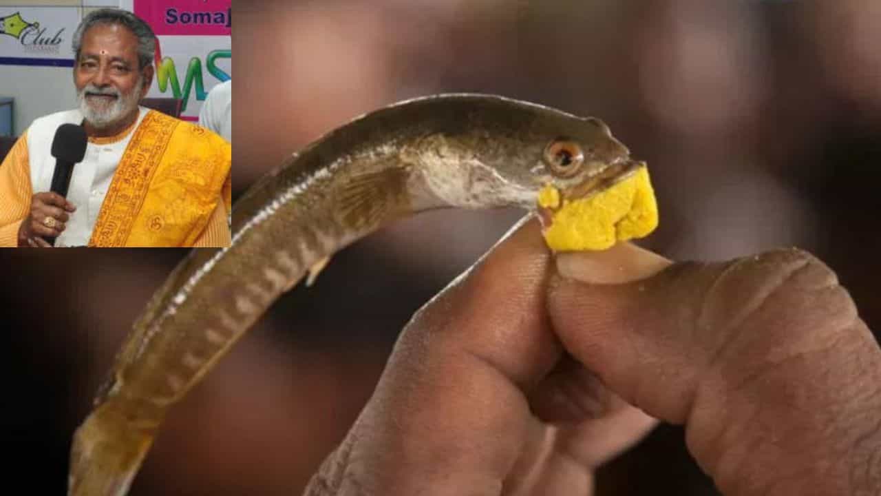 Fish medicine: ಅಸ್ತಮಾ ರೋಗಿಗಳಿಗೆ ಆಪತ್ಭಾಂಧವ! ಮತ್ತೆ ವಿವಾದದ ಗೂಡಾದ ಹೈದರಾಬಾದಿನ ಕುಖ್ಯಾತ ಮೀನಿನ ಪ್ರಸಾದ, ಶುಕ್ರವಾರದಿಂದ ವಿತರಣೆ Fish medicine: ಅಸ್ತಮಾ ರೋಗಿಗಳಿಗೆ ಆಪತ್ಭಾಂಧವ! ಮತ್ತೆ ವಿವಾದದ ಗೂಡಾದ ಹೈದರಾಬಾದಿನ ಕುಖ್ಯಾತ ಮೀನಿನ ಪ್ರಸಾದ, ಶುಕ್ರವಾರದಿಂದ ವಿತರಣೆ
