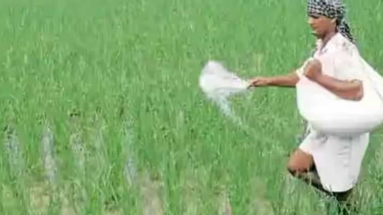 ಯೂರಿಯಾ ಸಬ್ಸಿಡಿ ಯೋಜನೆಯ ಮುಂದುವರಿಕೆಗೆ CCEA ಅನುಮೋದನೆ