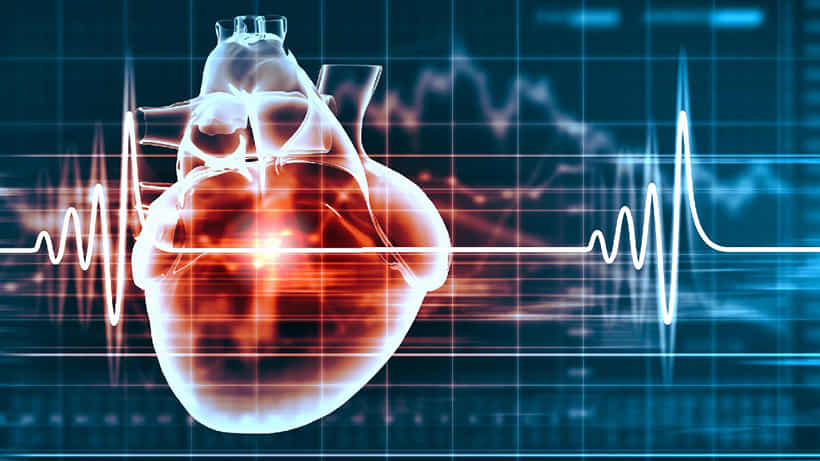 Heart Health: ಪುರುಷಗಿಂತ ಮಹಿಳೆಯರ ಹೃದಯ ಬಡಿತ ವೇಗವಾಗಿರುತ್ತದೆ; ಸಂಶೋಧನೆ