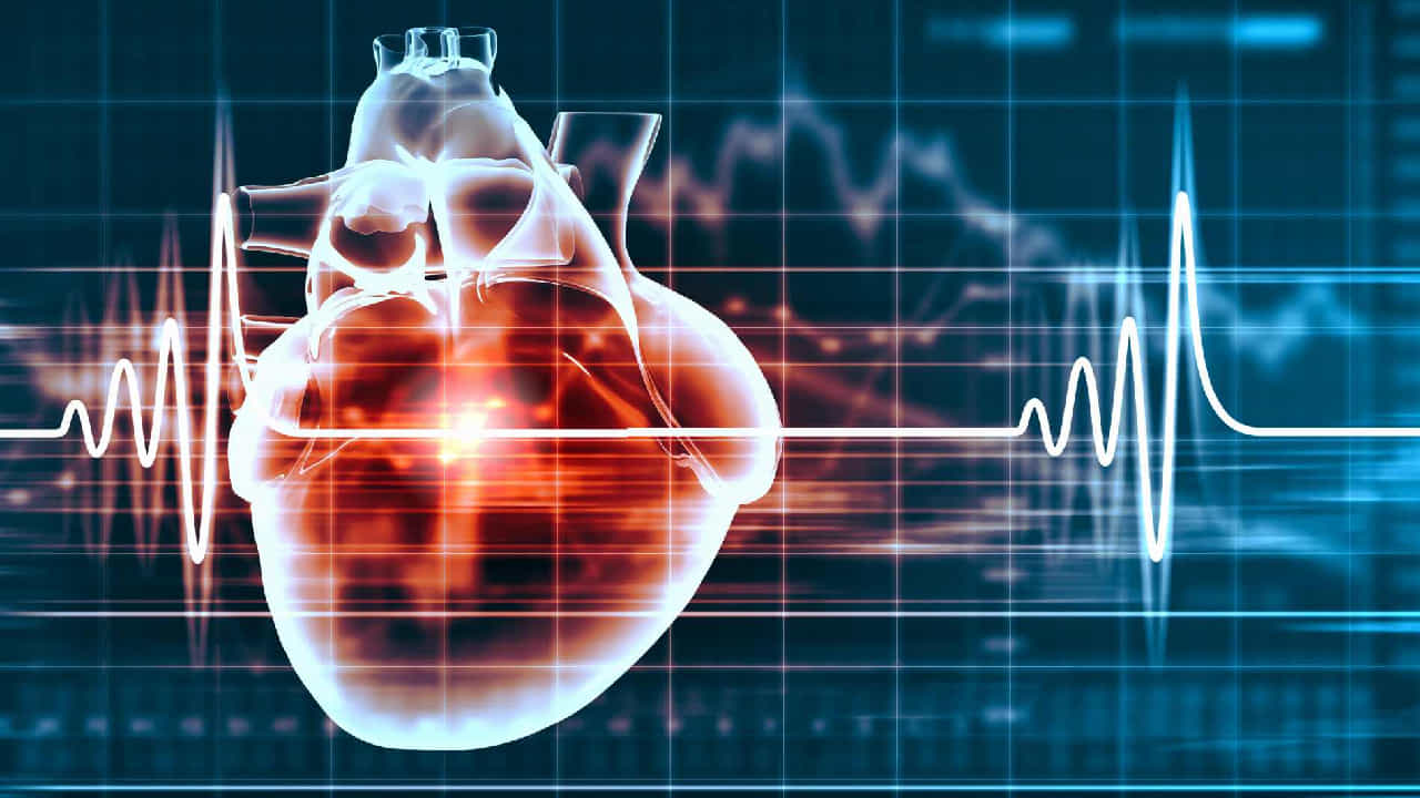 Heart Health: ಪುರುಷಗಿಂತ ಮಹಿಳೆಯರ ಹೃದಯ ಬಡಿತ ವೇಗವಾಗಿರುತ್ತದೆ; ಸಂಶೋಧನೆ Heart Health: ಪುರುಷಗಿಂತ ಮಹಿಳೆಯರ ಹೃದಯ ಬಡಿತ ವೇಗವಾಗಿರುತ್ತದೆ; ಸಂಶೋಧನೆ