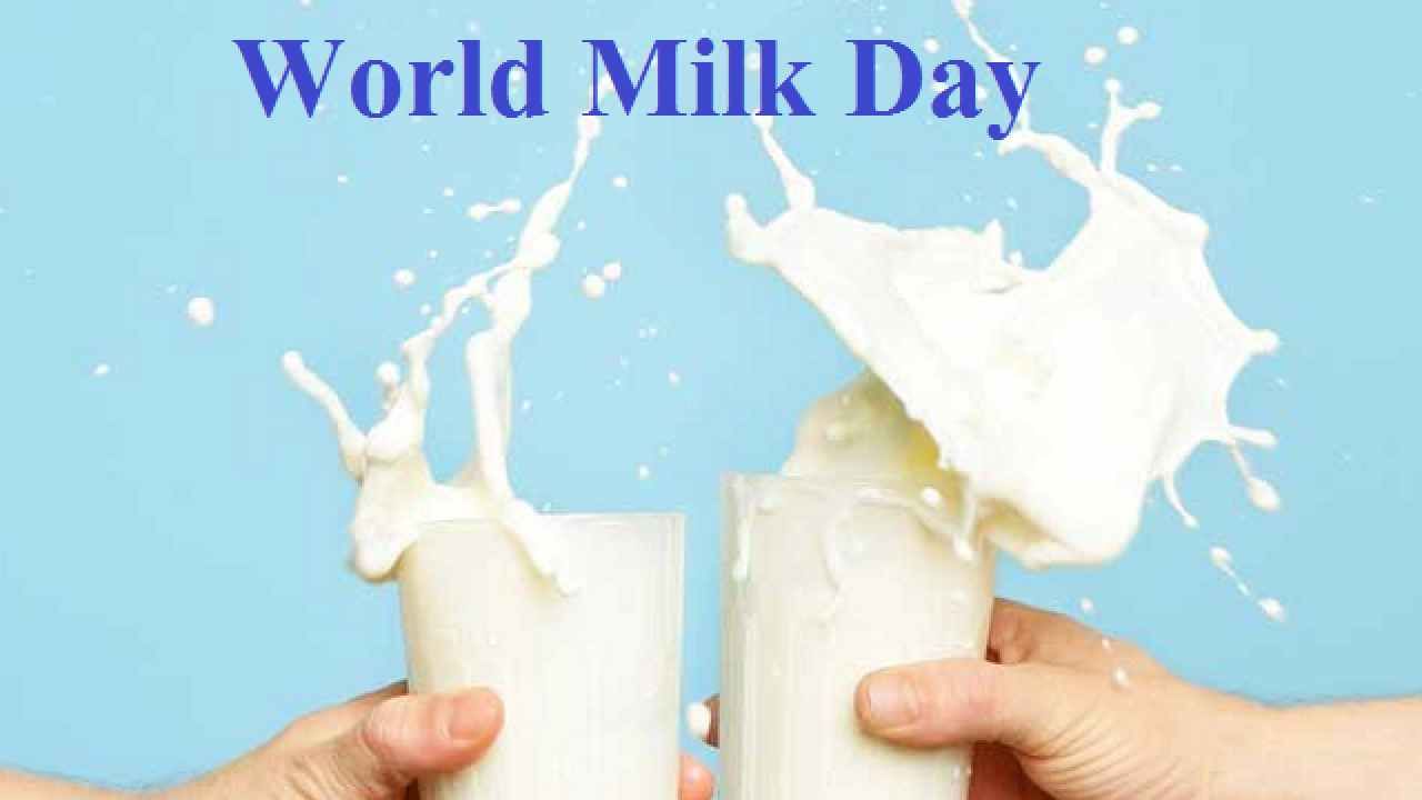 World Milk Day 2023 ಆಚರಣೆ ಏಕೆ? ಏನಿದರ ಮಹತ್ವ? ಈ ದಿನದ ಇತಿಹಾಸ ತಿಳಿದುಕೊಳ್ಳಿ