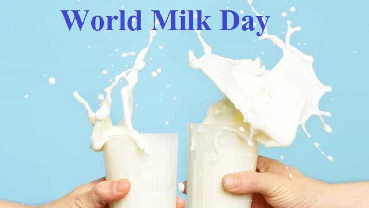World Milk Day 2023: ಆಚರಣೆ ಏಕೆ? ಏನಿದರ ಮಹತ್ವ? ಈ ದಿನದ ಇತಿಹಾಸ ತಿಳಿದುಕೊಳ್ಳಿ..
