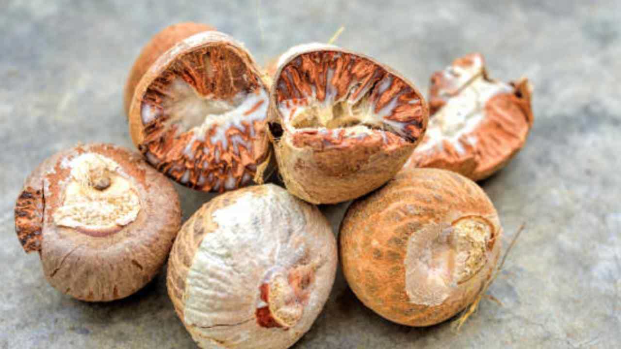 Arecanut Price 30 August: ಇಂದಿನ ಅಡಿಕೆ ಧಾರಣೆ ಮತ್ತು ಕೋಕೋ ದರ ಹೀಗಿದೆ