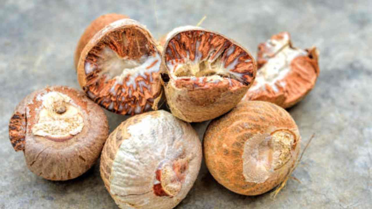 Arecanut Price 30 August: ಇಂದಿನ ಅಡಿಕೆ ಧಾರಣೆ ಮತ್ತು ಕೋಕೋ ದರ ಹೀಗಿದೆ