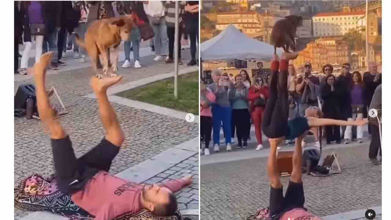 Viral Video: ಅವನ ಅಂಗಾಲ ಮೇಲೆ ಆಕೆ, ಆಕೆಯ ಅಂಗಾಲ ಮೇಲೆ ನಾಯಿ; ಪರಮ ಕ್ರೌರ್ಯ ಎಂದ ನೆಟ್ಟಿಗರು Viral Video: ಅವನ ಅಂಗಾಲ ಮೇಲೆ ಆಕೆ, ಆಕೆಯ ಅಂಗಾಲ ಮೇಲೆ ನಾಯಿ; ಪರಮ ಕ್ರೌರ್ಯ ಎಂದ ನೆಟ್ಟಿಗರು