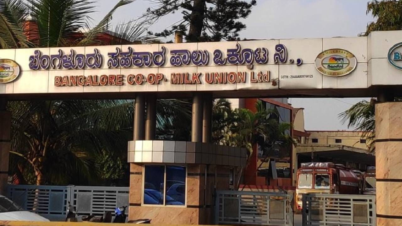 Bamul ಹಾಲಿನ ಪ್ರೋತ್ಸಾಹ ಧನ 1.50 ರೂ. ಕಡಿತ Kannada News Bangalore milk