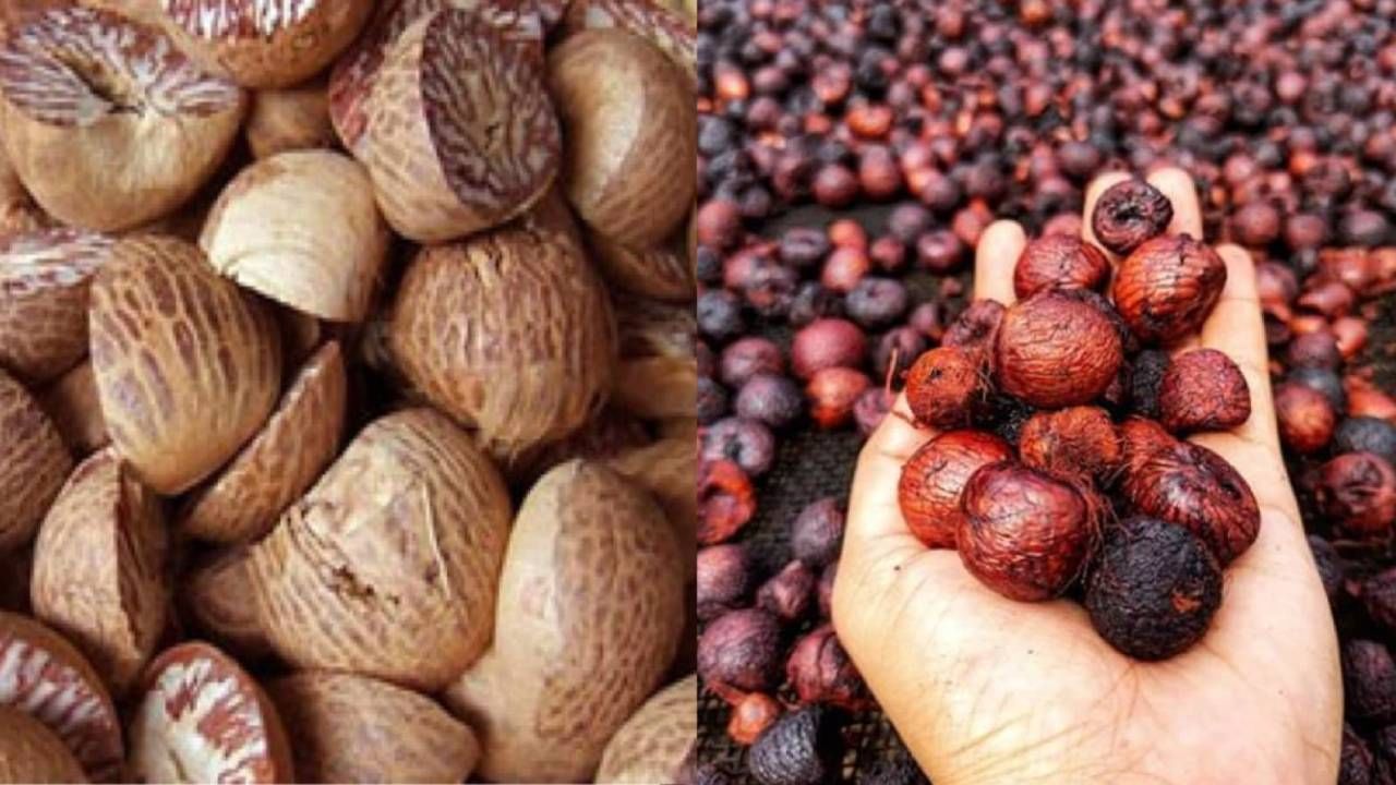 Arecanut Price 23 June: ಇಂದಿನ ಅಡಿಕೆ ಧಾರಣೆ, ವಿವಿಧ ಮಾರುಕಟ್ಟೆಗಳಲ್ಲಿನ ಅಡಿಕೆ ದರ ಹೀಗಿದೆ Arecanut Price 23 June: ಇಂದಿನ ಅಡಿಕೆ ಧಾರಣೆ, ವಿವಿಧ ಮಾರುಕಟ್ಟೆಗಳಲ್ಲಿನ ಅಡಿಕೆ ದರ ಹೀಗಿದೆ