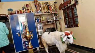 ಕಾಯಕವೇ ಕೈಲಾಸ ಎಂದ ಬಸವಣ್ಣನ ಕಾಯಕವೇ ವಿಳಂಬ: ಬಸವ ಅಂತಾರಾಷ್ಟ್ರೀಯ ಕೇಂದ್ರಕ್ಕೆ ಸಿಕ್ಕಿಲ್ಲ ಉದ್ಘಾಟನೆ ಭಾಗ್ಯ