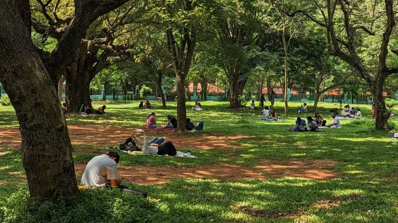 Cubbon Reads: ಕಬ್ಬನ್ ಪಾರ್ಕ್ನ ಹಸಿರ ಹೊದಿಕೆ ಮೇಲೆ ಕೂತು ಪುಸ್ತಕ ಓದುವ ಅನುಭವ Cubbon Reads: ಕಬ್ಬನ್ ಪಾರ್ಕ್ನ ಹಸಿರ ಹೊದಿಕೆ ಮೇಲೆ ಕೂತು ಪುಸ್ತಕ ಓದುವ ಅನುಭವ