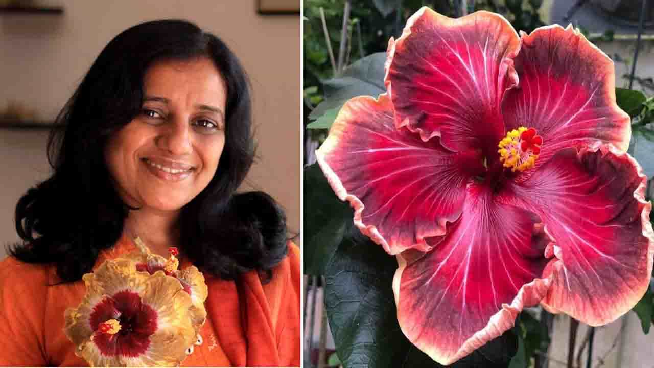 Viral: ಸೇಕ್ರೆಡ್ ಫೈರ್; 16 ವರ್ಷಗಳ 'ದಾಸವಾಳ ಪುಷ್ಪಾ' ಕನಸು ನನಸಾದದ್ದು ಹೀಗೆ Viral: ಸೇಕ್ರೆಡ್ ಫೈರ್; 16 ವರ್ಷಗಳ 'ದಾಸವಾಳ ಪುಷ್ಪಾ' ಕನಸು ನನಸಾದದ್ದು ಹೀಗೆ