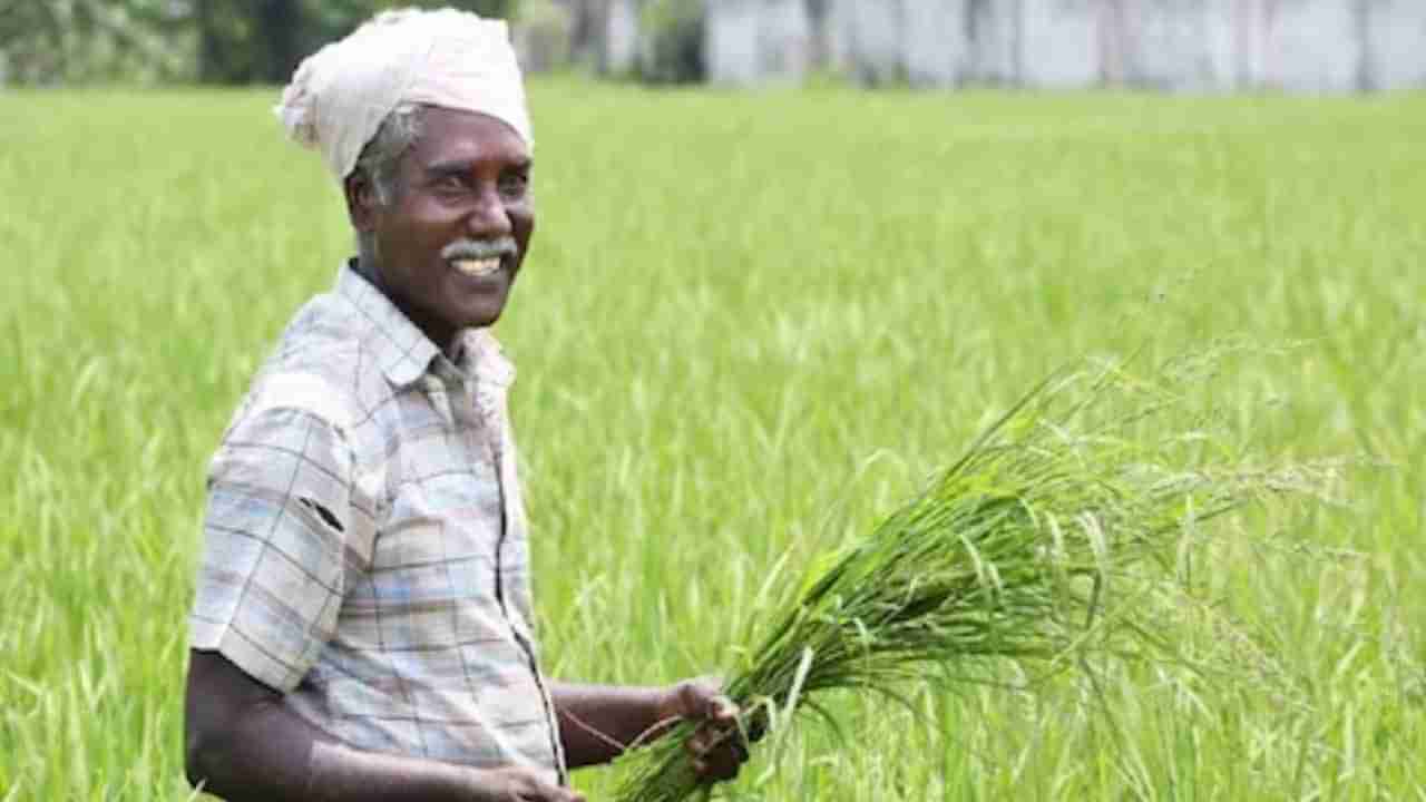 PM Kisan 14th Installment: ಕೃಷಿಕರಿಗೆ ನೀಡುವ ಪಿಎಂ ಕಿಸಾನ್ 14ನೇ ಕಂತಿನ ಹಣ ಮುಂದಿನ ವಾರ ಬಿಡುಗಡೆ? ಪಟ್ಟಿಯಲ್ಲಿ ನಿಮ್ಮ ಹೆಸರಿದೆಯಾ ಪರಿಶೀಲಿಸಿ