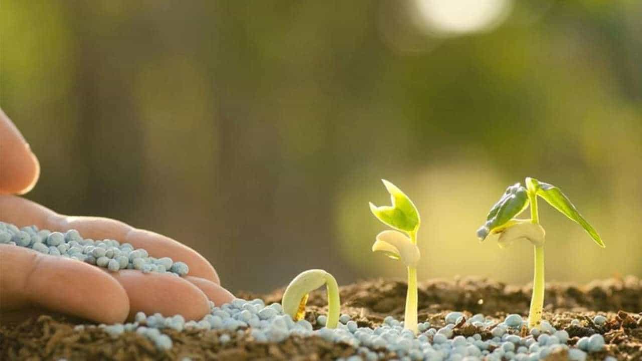 Fertilizer Subsidy: ರೈತರು ರಸಗೊಬ್ಬರ ಬಳಕೆ ಕಡಿಮೆ ಮಾಡಿದರೆ ರಾಜ್ಯಗಳಿಗೆ ಲಾಭ; ಕೇಂದ್ರದಿಂದ ಮಾಸ್ಟರ್ಪ್ಲಾನ್ Fertilizer Subsidy: ರೈತರು ರಸಗೊಬ್ಬರ ಬಳಕೆ ಕಡಿಮೆ ಮಾಡಿದರೆ ರಾಜ್ಯಗಳಿಗೆ ಲಾಭ; ಕೇಂದ್ರದಿಂದ ಮಾಸ್ಟರ್ಪ್ಲಾನ್
