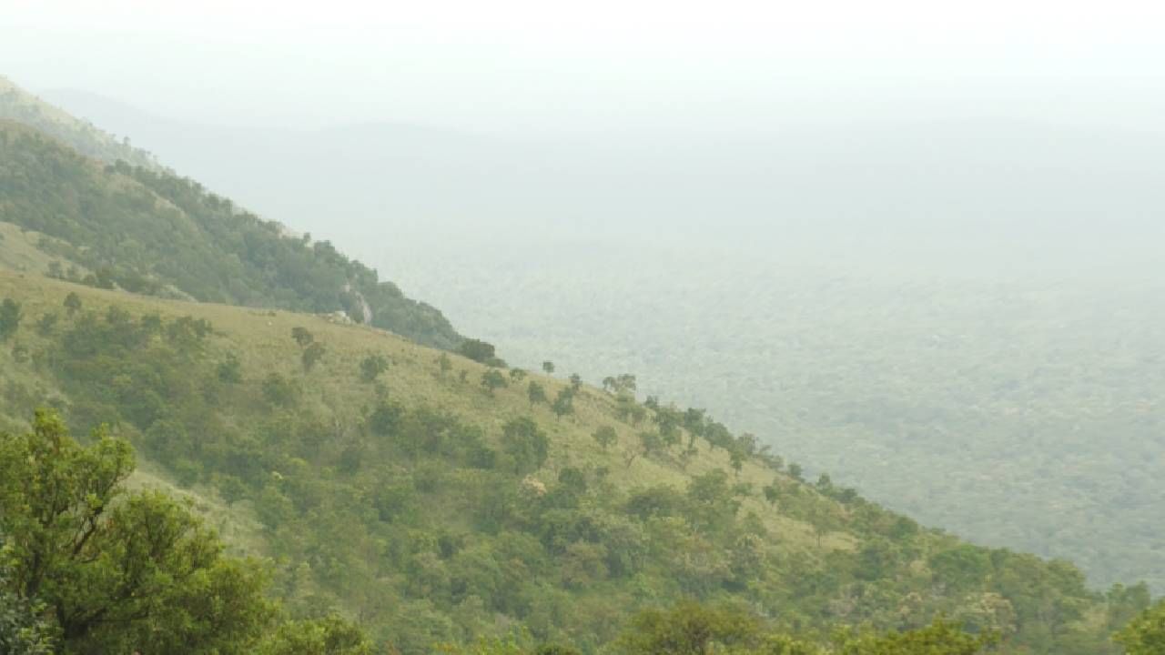 Chamarajanagar district gopalaswamy hill 365 days covered by fog