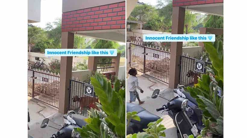 Viral Video: ಕ್ಯಾಚ್ ಕ್ಯಾಚ್; ನಿರಾಶ್ರಿತ ಮಕ್ಕಳೊಂದಿಗೆ ಚೆಂಡಾಟವಾಡಿದ ಸಾಕುನಾಯಿ
